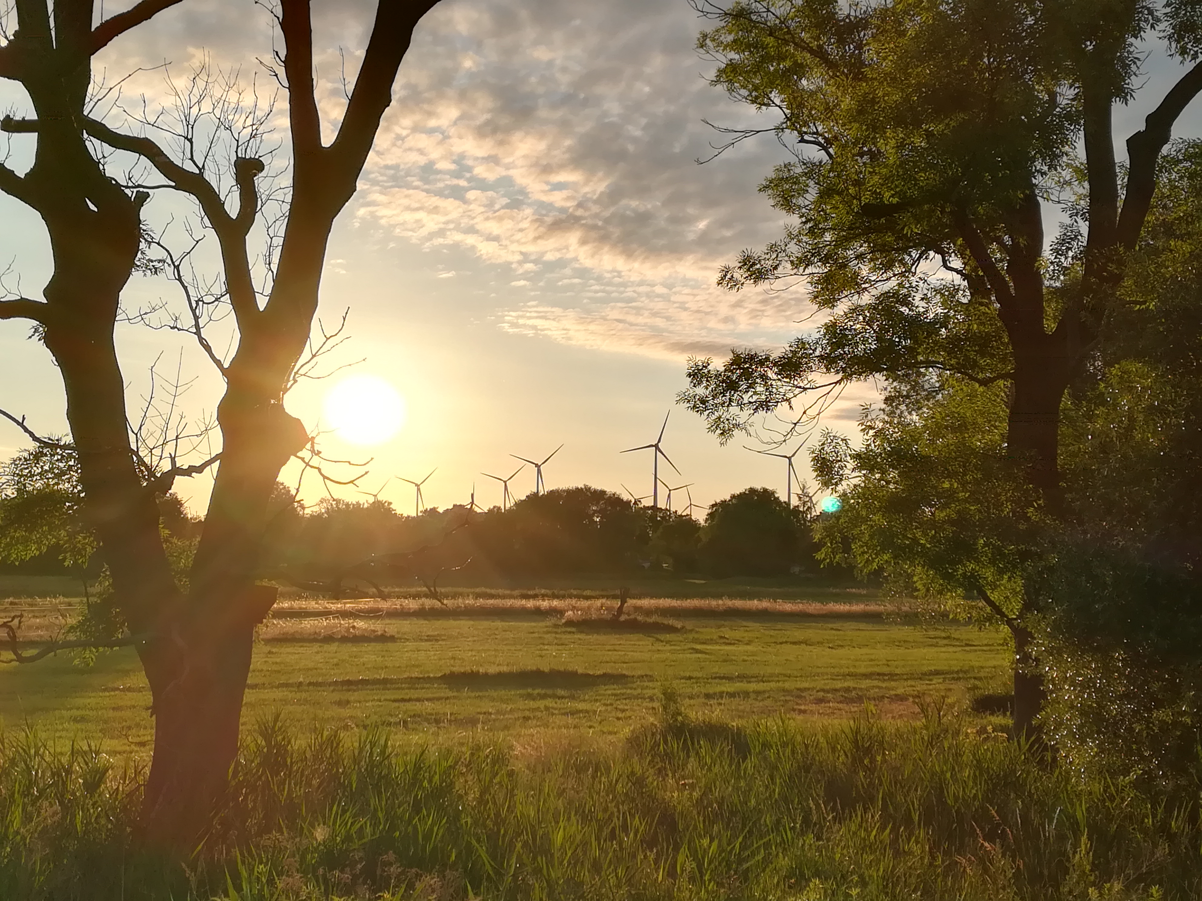 Modest Wind Power Expansion Recovery In Germany Fails To Allay Industry Fears Clean Energy Wire