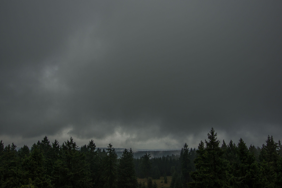 Picture shows clouded sky over forest in Germany 