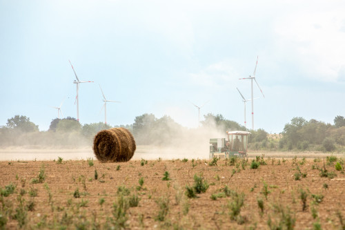 Photo shows a corn field shared with wind turbines in Belgium. Source: European Union. 