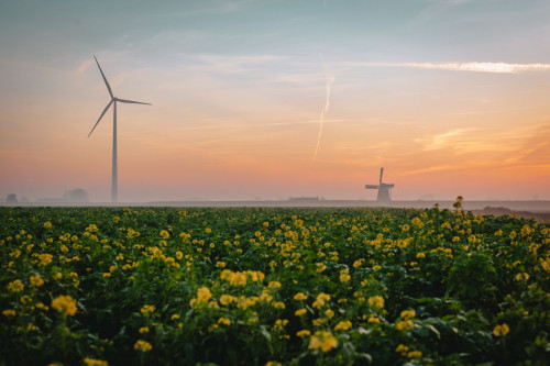 Old and new windmills in the Netherlands. Credit: Tim van der Kuip unsplash