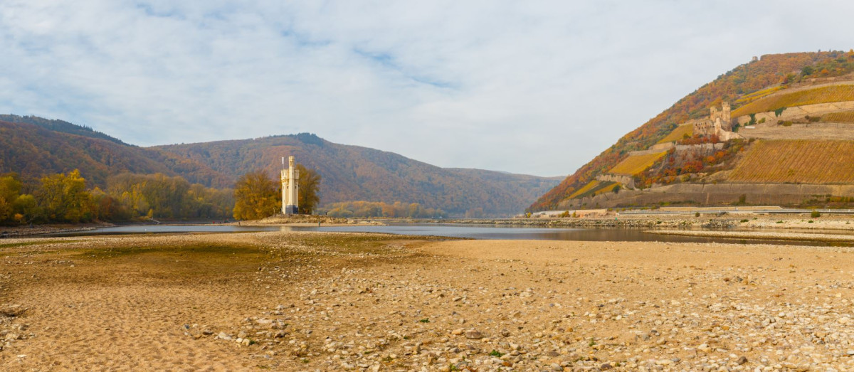 Low water levels on the Rhine have repeatedly constrained shipping. Photo: AdobeStock.