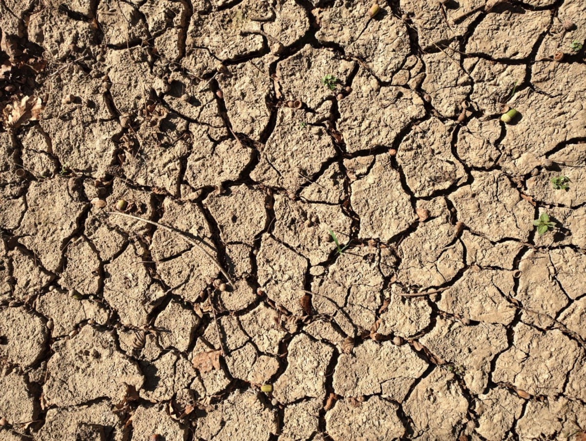 Parts of Italy have been hit by extreme drought. Image by Rudi Bressa