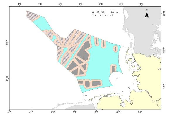 Total area needed for 40-50 GW offshore wind capacity in German North Sea; red area indicating habitat loss for sea bird species. Source: NABU Total area needed for 40-50 GW offshore wind capacity in German North Sea; red area indicating habitat loss for sea bird species. Source: NABU