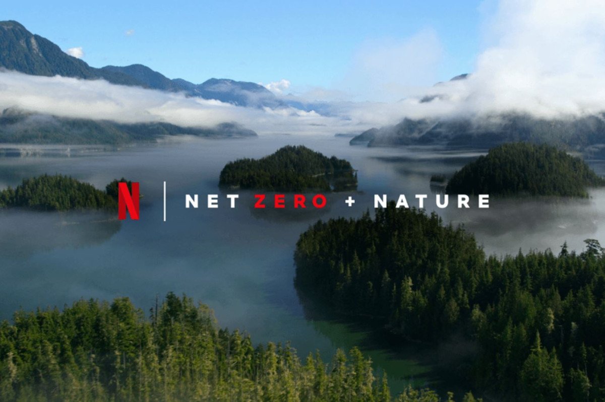 Netflix's net zero strategy has won plaudits, but it's not without flaws.