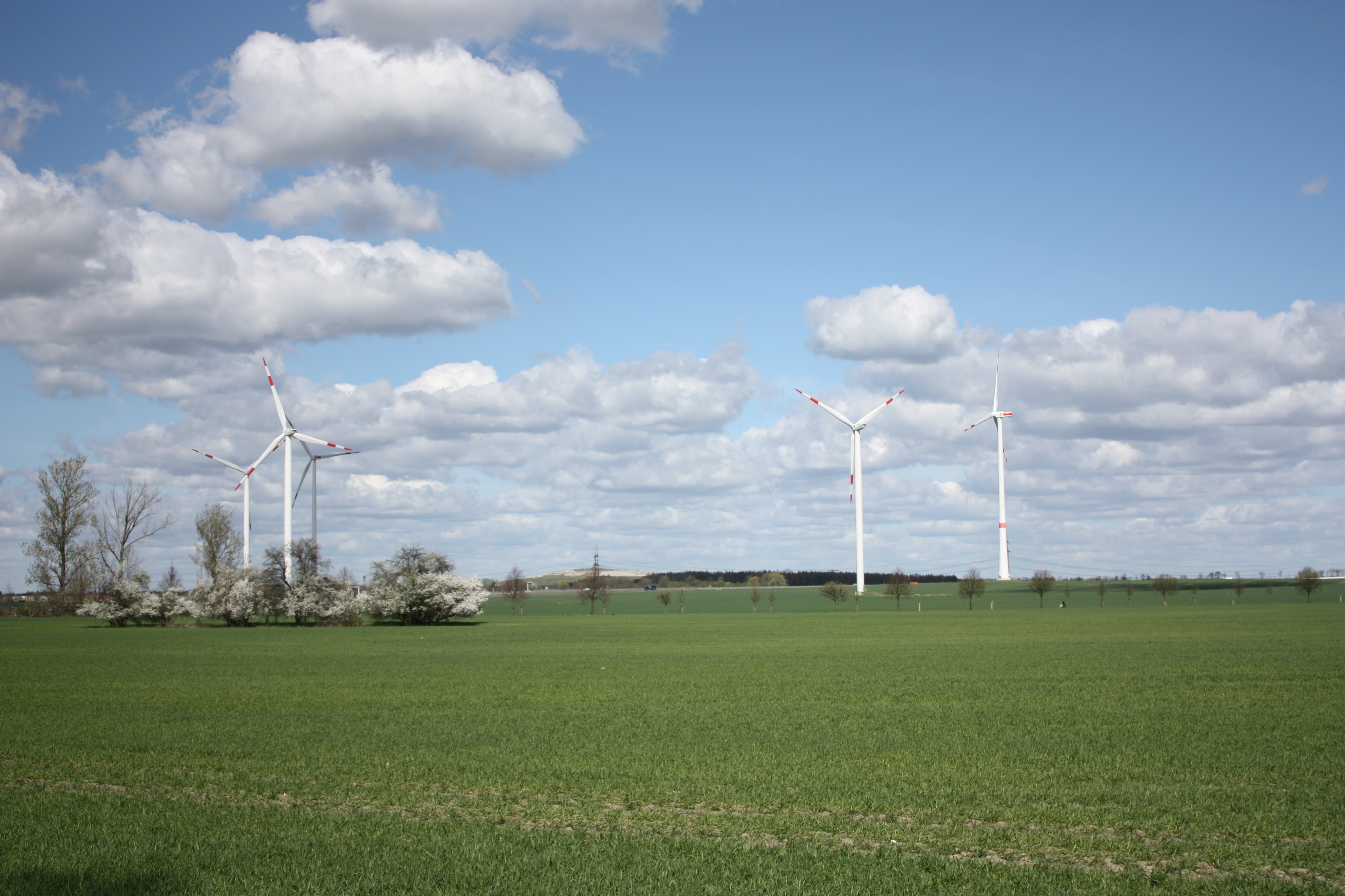 Wind industry calls for special auctions amid expansion slowdown ...